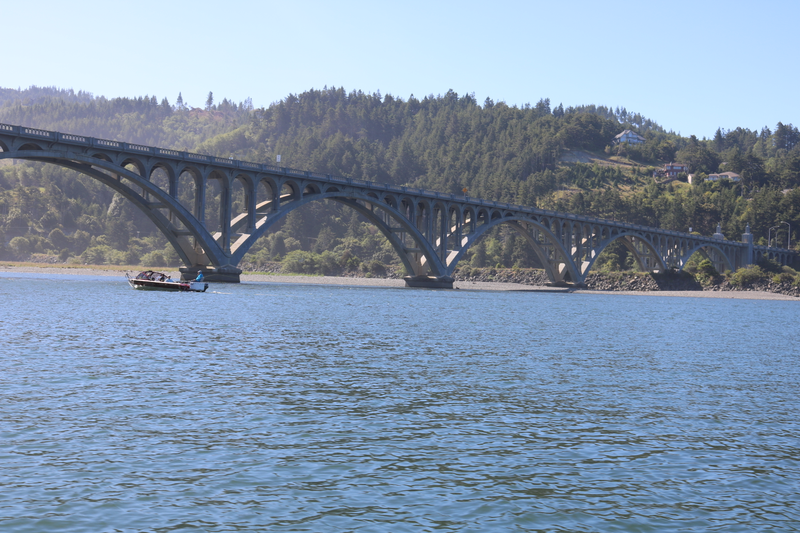 Illustration for article titled Rogue River morning post